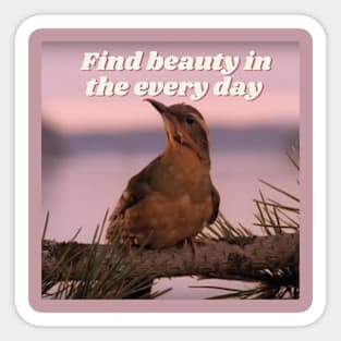 Find Beauty in Every Day Sticker